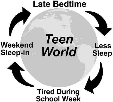 Sleeping Teen Results Of 23